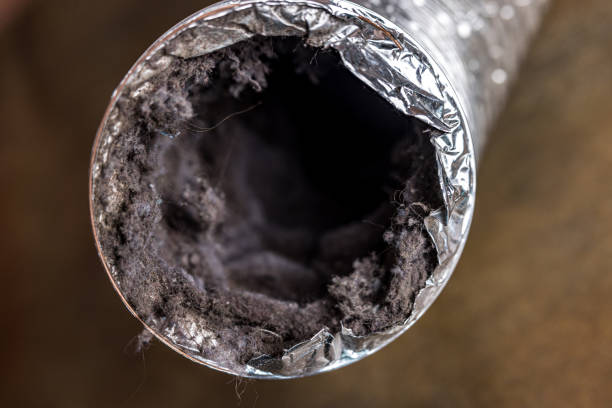 Best Air Duct Inspection  in Ampere North, NJ