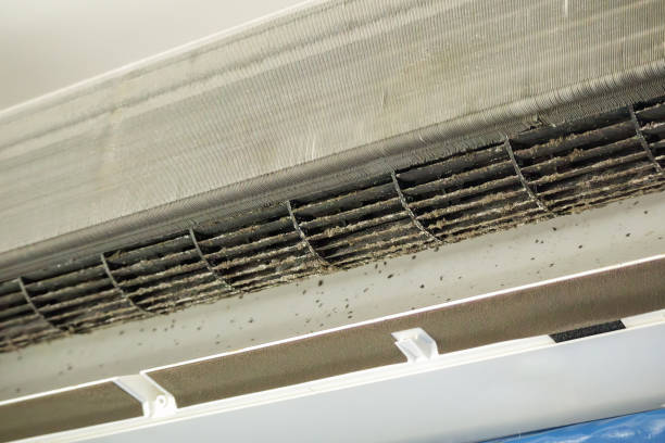 Best Local Air Duct Cleaning Services  in Ampere North, NJ
